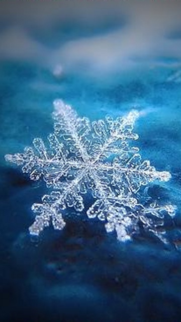 Anisia Mirela Tarcatu