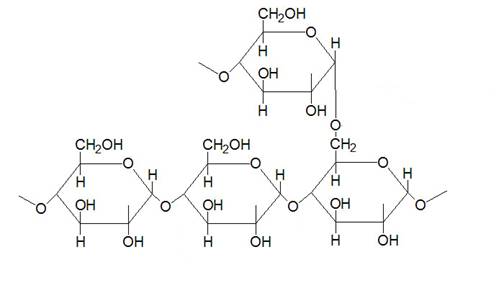 glicogen